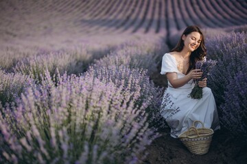 Woman harvesting lavender in a large field during summer sunset