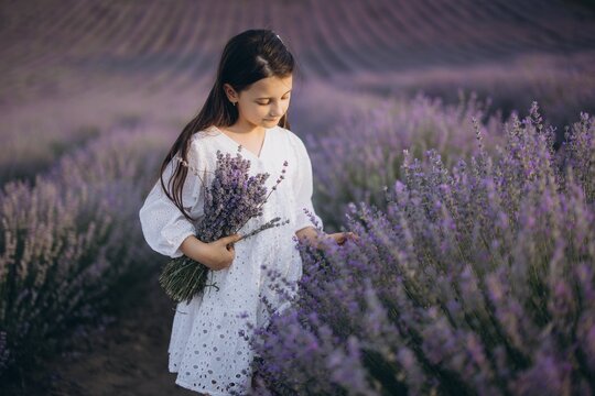 Young girl holding lavender bouquet in a lavender field