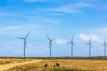 Wind turbines in Arikok National Park Aruba generating renewable energy under blue sky with white...