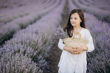 Young girl holding wicker basket with lavender bouquet in lavender field