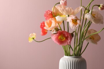 Beautiful poppy flowers in vase on pink background, closeup. Space for text