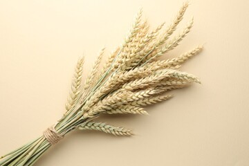 Bunch of wheat spikes on beige background, top view