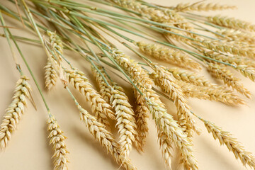 Many wheat spikes on beige background, closeup