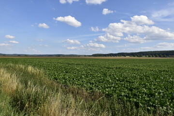 Landschaft und Ausblick bei Hildesheim
