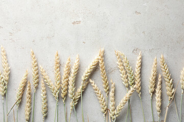 Many wheat spikes on light grey table, flat lay. Space for text