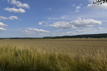 Landschaft und Ausblick bei Hildesheim