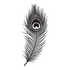 Decorative peafowl feather icon in a detailed black and white © MAHEDI