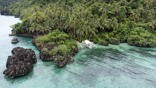 Lush Green Beautiful Island 
