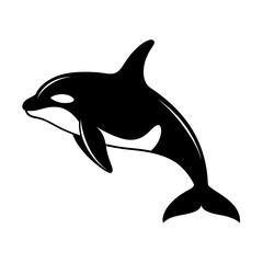 Obraz premium Killer Whale Breaching Vector