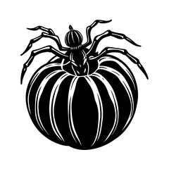 Spider Crawling On Pumpkin Vector
