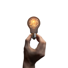 Idea concept with lightbulb in human hand on white background