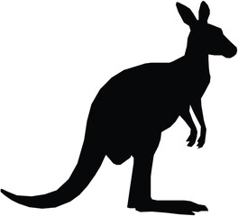 kangaroo vector illustration