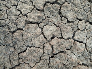 Close up dry and cracked soil surface texure background