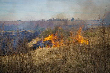View of a wildfire burning a meadow.