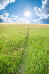 Road passing on a slope the covered grass of mountain