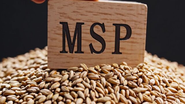 Wooden blocks spelling "MSP" placed on pile of wheat grains