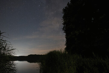 Starry Night Sky Stars Trees View Shadow Heaven Nature Landscape Romantic Darkness Background...
