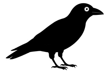 Fototapeta premium Black vector silhouette illustrations of various wild birds including crows, pigeons, and other common birds in nature, ideal for designs and icons