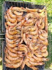 Cooking Shrimp on the Grill. Shrimp Cooked on a Campfire. Shrimp BBQ