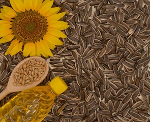 Top view of a bottle of sunflower oil, raw and peeled seeds in a wooden spoon and a bright yellow sunflower on a background of sunflower seeds. Concept of healthy vegetable oil and agricultural produc