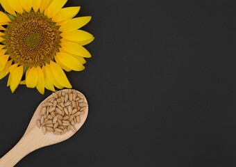 Bright yellow sunflower and a wooden spoon full of shelled sunflower seeds on dark black...