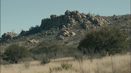 Hillside covered with dry grass, shrubs, and a rocky outcrop under a clear sky
