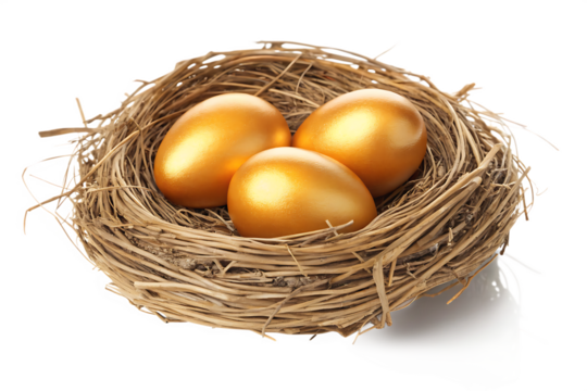 Golden eggs in a nest isolated on white background PNG