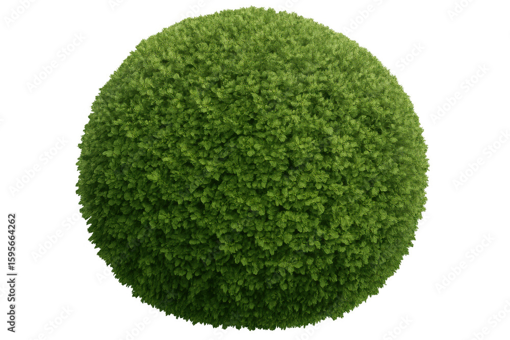 Poster green leafy sphere floating against transparent backdrop, serving architectural visualization needs 