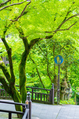 alley in the park