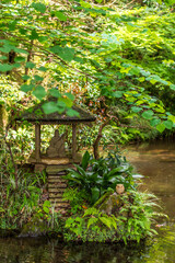 old house in the forest