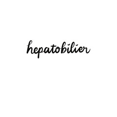Hepatobiliary System Lettering – Handwritten Typography of Liver, Gallbladder, and Bile Duct Anatomy
