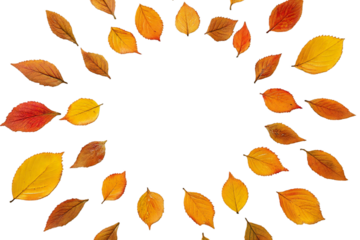 Autumn leaves circle on a transparent background showcases vibrant colors and natural patterns, perfect for seasonal designs and fall themes, silhouette