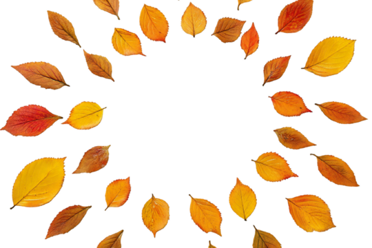 Autumn leaves circle on a transparent background showcases vibrant colors and natural patterns, perfect for seasonal designs and fall themes, silhouette