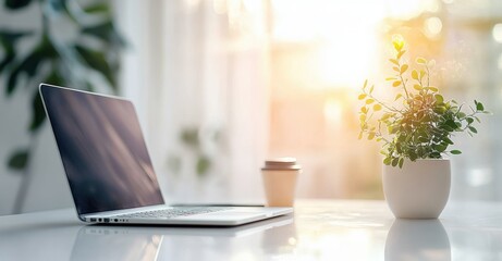 A minimalist workspace with an open laptop, a small potted plant, and a disposable coffee cup with warm sunlight streaming through a window creating a calm ambiance