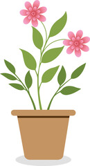 Flowering Plant Vectors