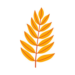 Orange ash leaf branch isolated on white background. Simple autumn fall leaf for pattern, banner, sticker. Hello autumn card. Flat vector illustration.