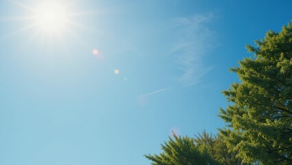 Fototapeta premium Vibrant Blue Sky and Bright Sunlight Illuminating Lush Green Tree in Serene Outdoor Landscape