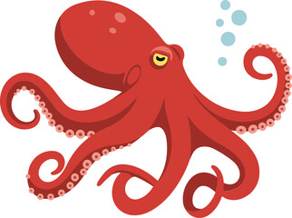 Octopus