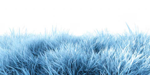 Field of pale blue grass against black void background image