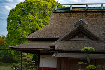 old house in the forest
