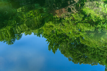The green is reflected in the flowing water waves