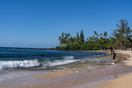 nani ahiahi ~Haleiwa beach パステル画 Turtles on Hawaii Beach at