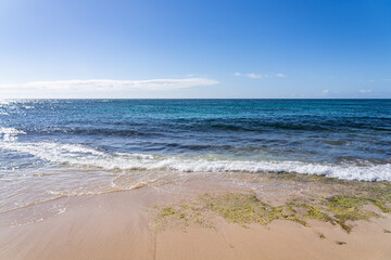 Laniakea Beach - Popularly Known as Turtle Beach, Haleiwa, Oahu, Hawaii. North Shore of Oahu...