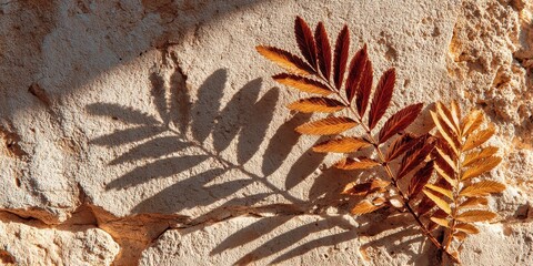 Golden Hour Sunlight Casts a Dramatic Shadow of Autumn Leaves on a Rustic Stone Wall