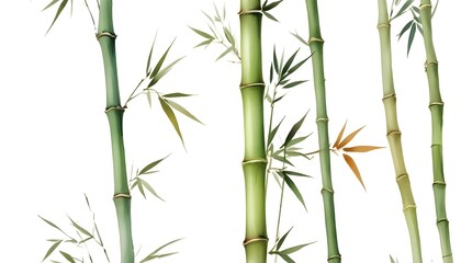 Obraz premium Watercolor illustration of a bamboo tree, set against a warm, textured background, capturing the essence of autumn nature
