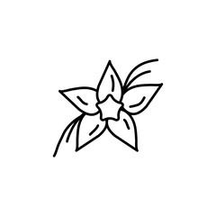 Vanilla icon vector logo, vector simple flat black linear illustration for web and app..eps