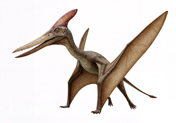 A striking, full shot of a pterodactyl, meticulously rendered.