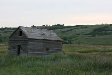 Obraz premium Mid Summer Scenery 