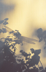 Light and shadow sunset on retro fabric texture. Vintage beige textile background. Abstract backdrop with floral pattern, shadow of dragonfly and crossed lines shadows. Wabi sabi style aesthetics