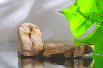 Rock stone marble podium for spa beauty product. Decoration tropical plants. Promotion. Soft blur. Wellness, skin care, mockup and beauty concept. Ad presentation